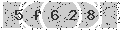 verify code