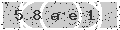 verify code