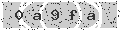 verify code