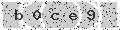 verify code