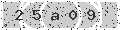 verify code