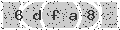 verify code