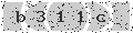 verify code