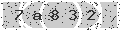 verify code