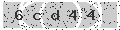 verify code