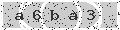 verify code
