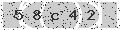 verify code