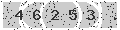 verify code