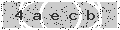 verify code