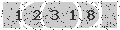 verify code