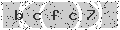verify code