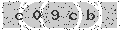 verify code
