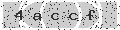 verify code