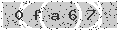 verify code