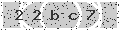 verify code
