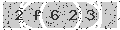 verify code