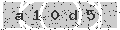 verify code