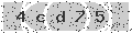 verify code