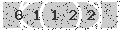 verify code