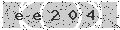 verify code