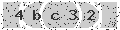 verify code