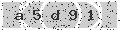 verify code