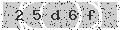 verify code