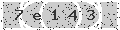 verify code
