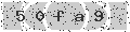 verify code