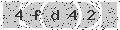 verify code