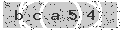 verify code