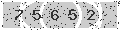 verify code