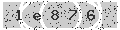 verify code