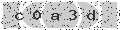 verify code