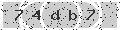 verify code