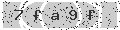 verify code