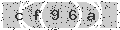 verify code