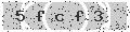 verify code