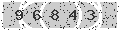 verify code