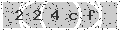 verify code