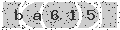 verify code