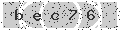 verify code