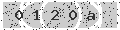 verify code