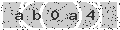 verify code