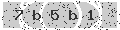 verify code