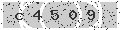 verify code